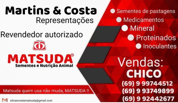 Martins e Costa Representações Matsuda