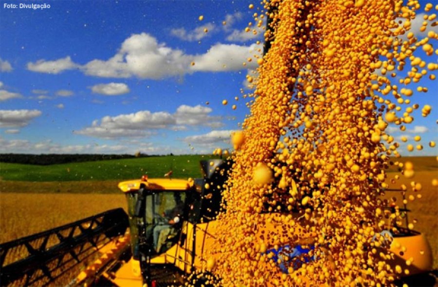 Governo libera R$ 73 milhões para serem aplicados no seguro rural neste e no próximo mês