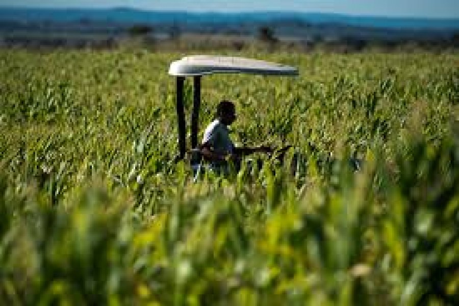 Brasil busca experiência mexicana em política agrícola