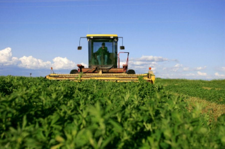 Governo disponibiliza R$ 384 milhões em subvenção para contratar seguro rural