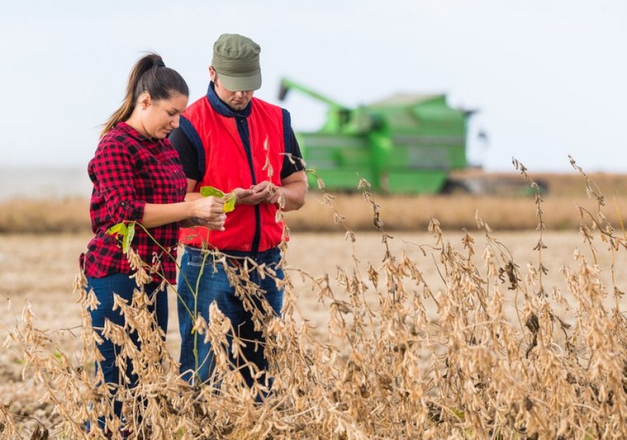 Novo programa apoia a qualificação de estudantes dos cursos de ciências agrárias