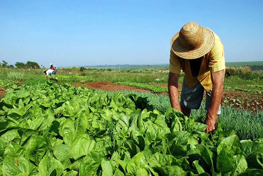 Reforma agrária: títulos entregues em 2017 superam soma dos últimos 10 anos