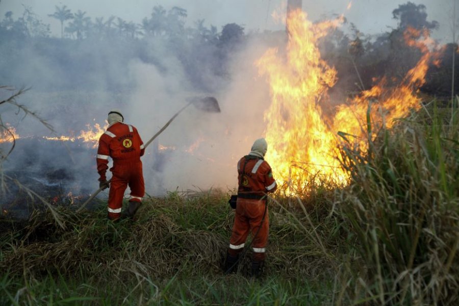 Governo de Rondônia alerta produtores rurais sobre decreto que proíbe as queimadas controladas