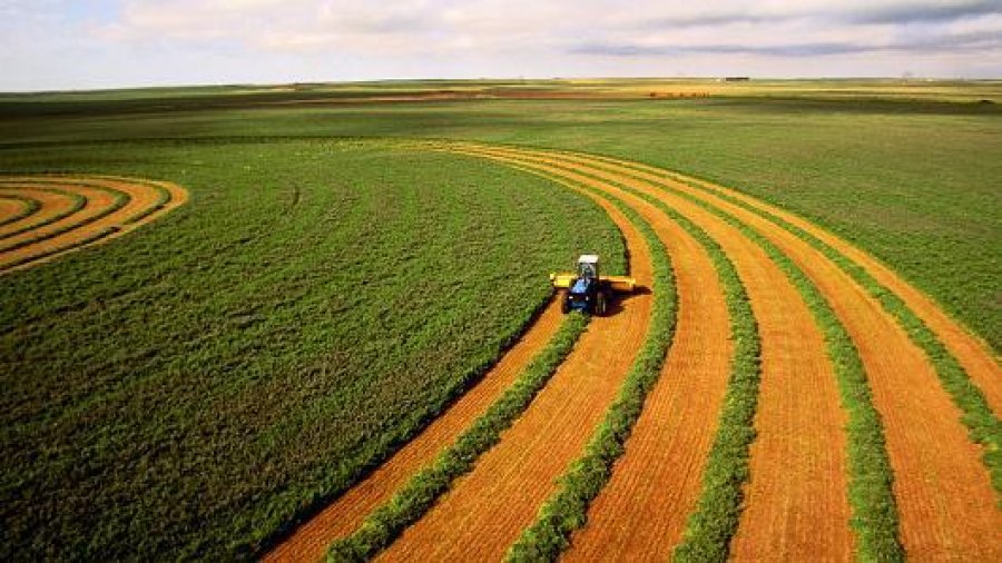 A imagem do Brasil no comércio agropecuário internacional