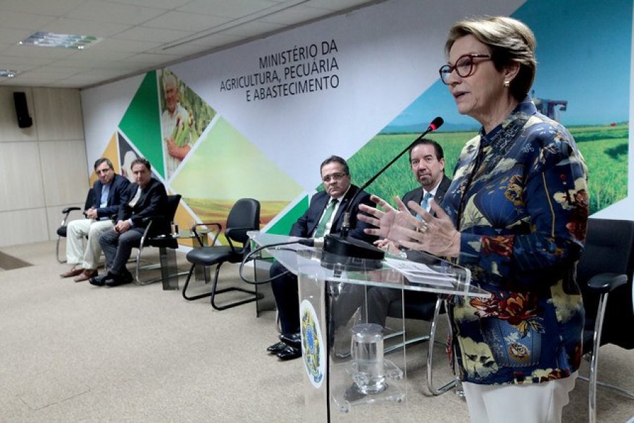 Não há razões para barreiras comerciais ao agronegócio por causa de queimadas, diz ministra