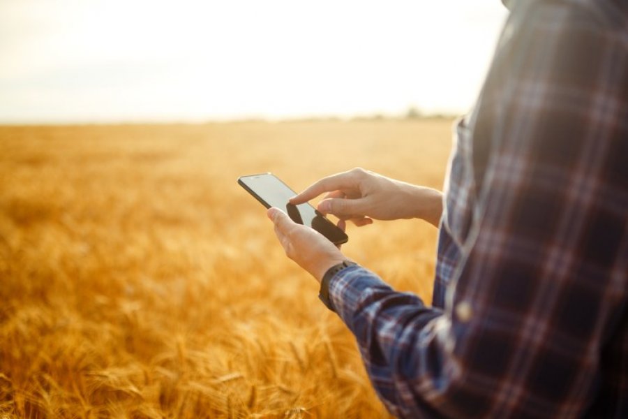 Agricultores familiares têm novo canal para comunicar perdas de alimentos
