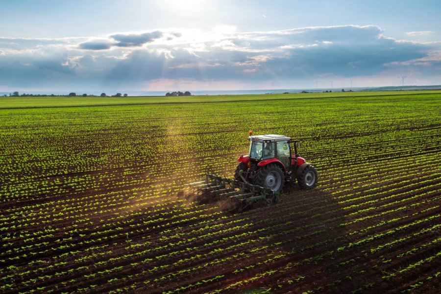 Valor da Produção Agropecuária deste ano é atualizado para R$ 806,6 bilhões