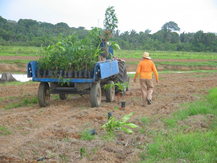 Em Rondônia Embrapa e Rioterra unem esforços para a recuperação de áreas degradadas