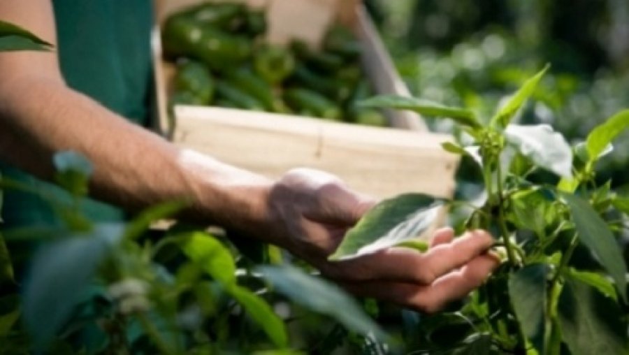 Inscrições para prêmio de boas práticas agrícolas começam em junho