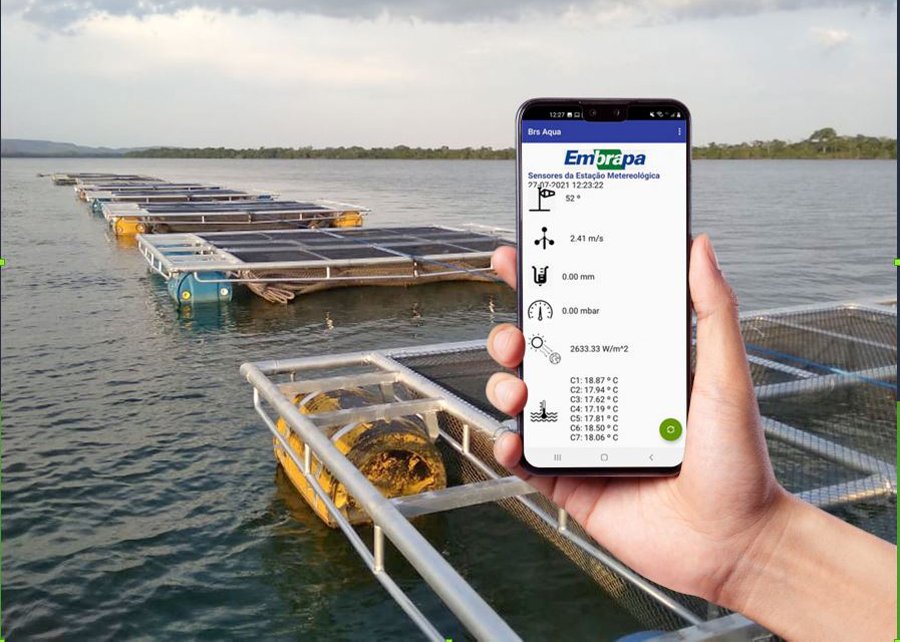 Tecnologia transmite dados da piscicultura para o celular do produtor em tempo real