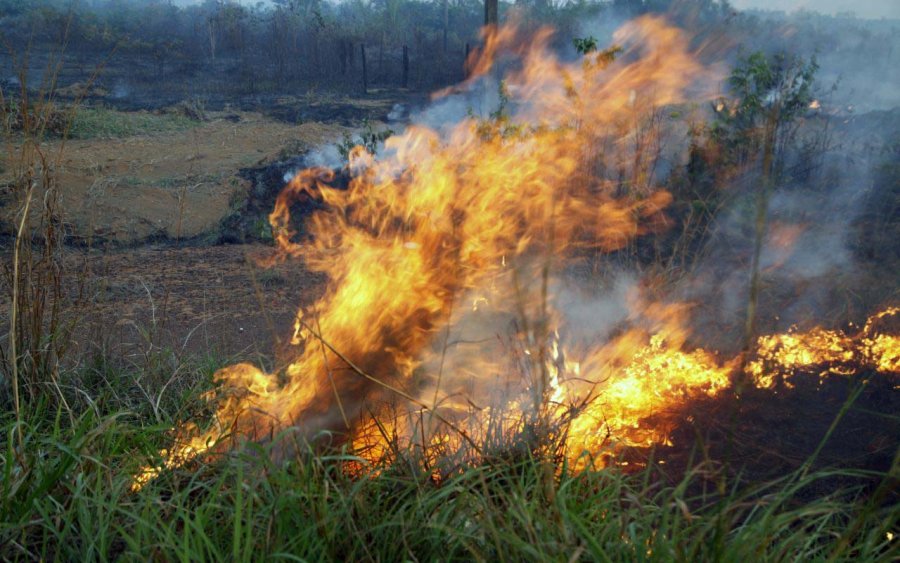 Emater-RO reforça orientação para prevenção às queimadas