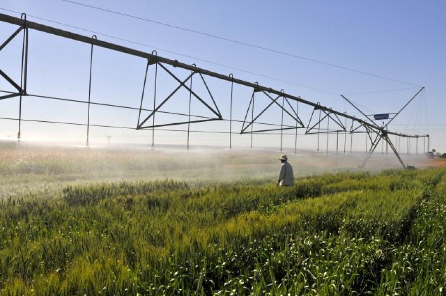 Artigo: Importância da gestão de recursos hídricos e da agricultura irrigada no nexo água e alimento