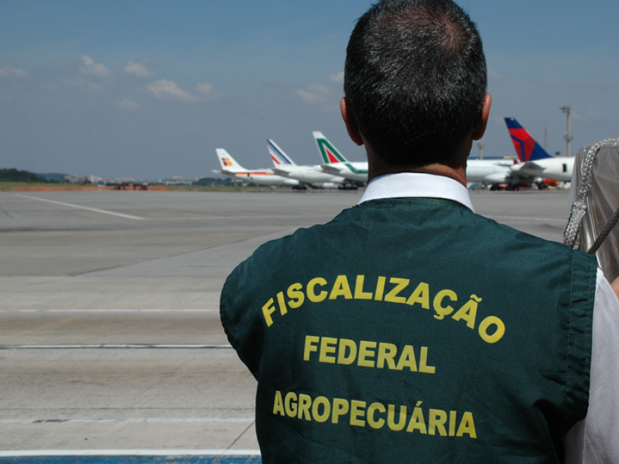 Auditores fiscais agropecuários podem entrar em greve