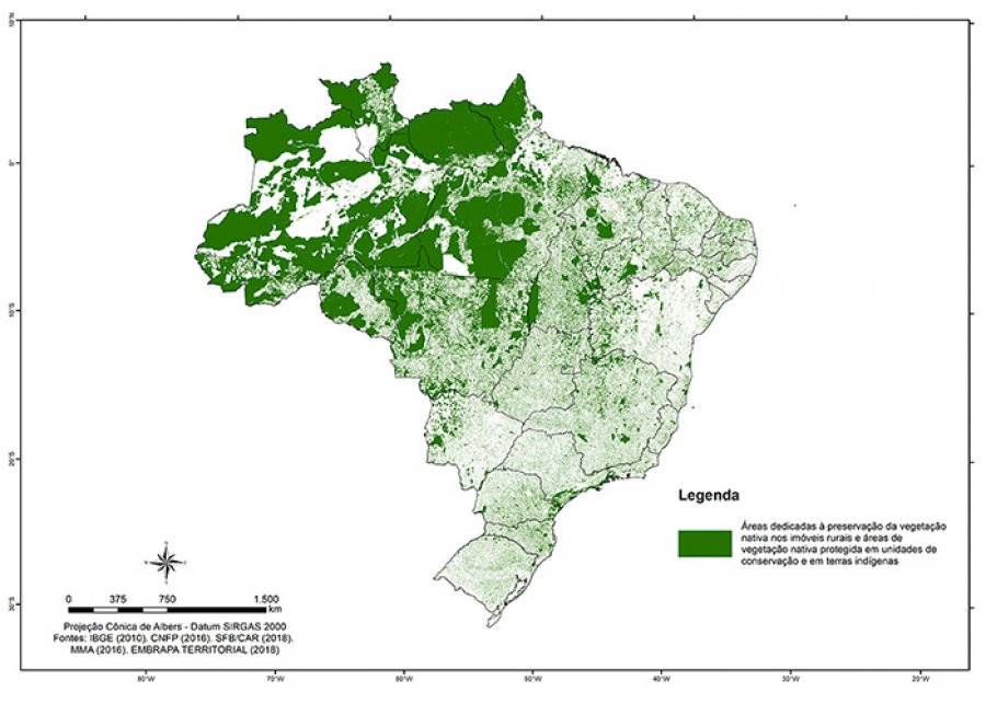 Área rural dedicada à vegetação nativa atinge 218 milhões de hectares