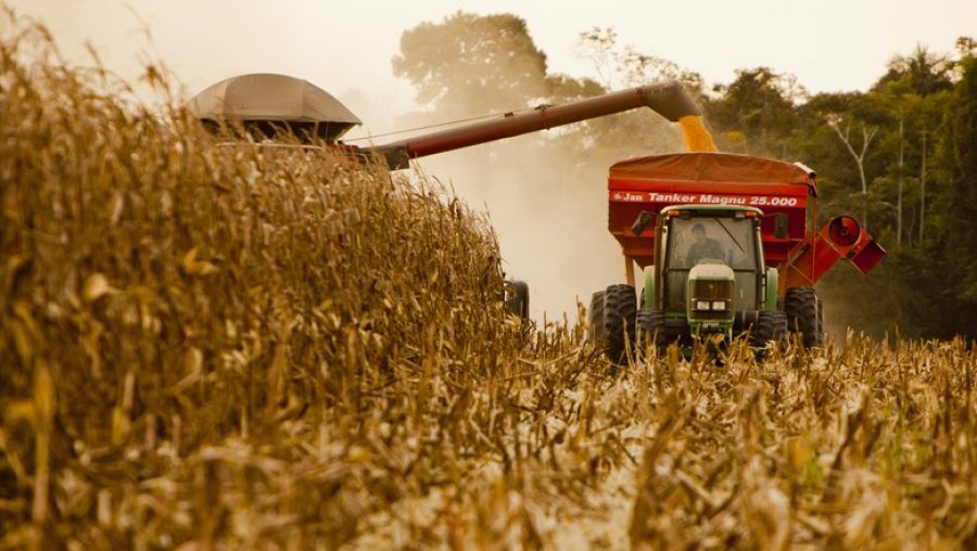 CNA prevê alta de 13,7% no Valor Bruto da Produção agropecuária em 2020