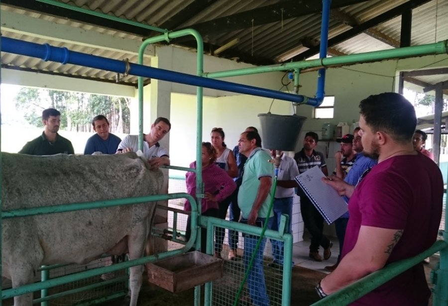 Embrapa Rondônia abre inscrições para curso em Sistema de Produção de Leite