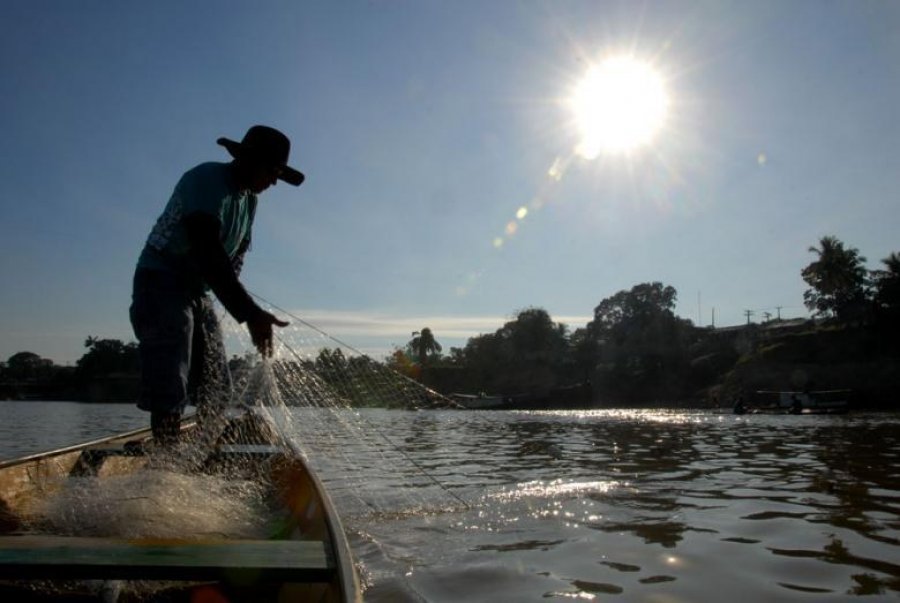 Governo vai atualizar cadastro de pescadores