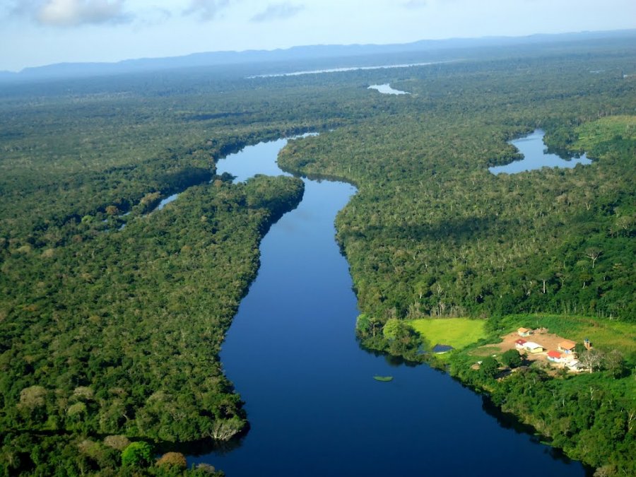 Ministra firma contrato público-privado garantindo a produção sustentável em floresta rondoniense