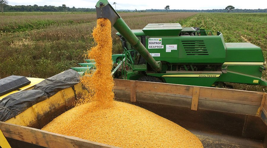 Valor da produção agrícola atinge R$ 361 bilhões em 2019 e bate novo recorde