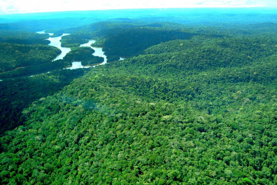 Nova Lei de Compensação Ambiental entra em vigor