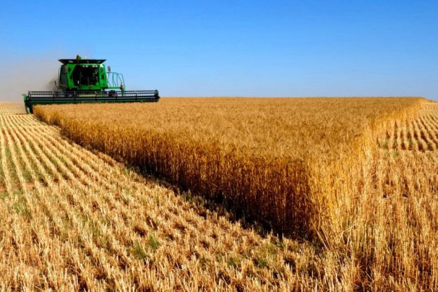 Valor da Produção Agropecuária é de R$ 697 bilhões, o maior dos últimos 31 anos