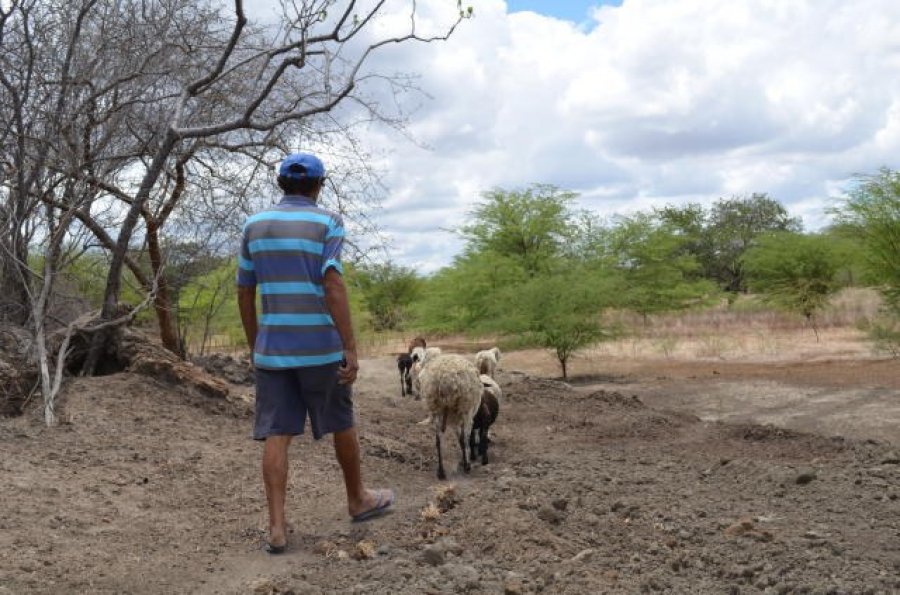 Garantia-Safra destinará R$ 27,3 milhões para agricultores familiares até maio