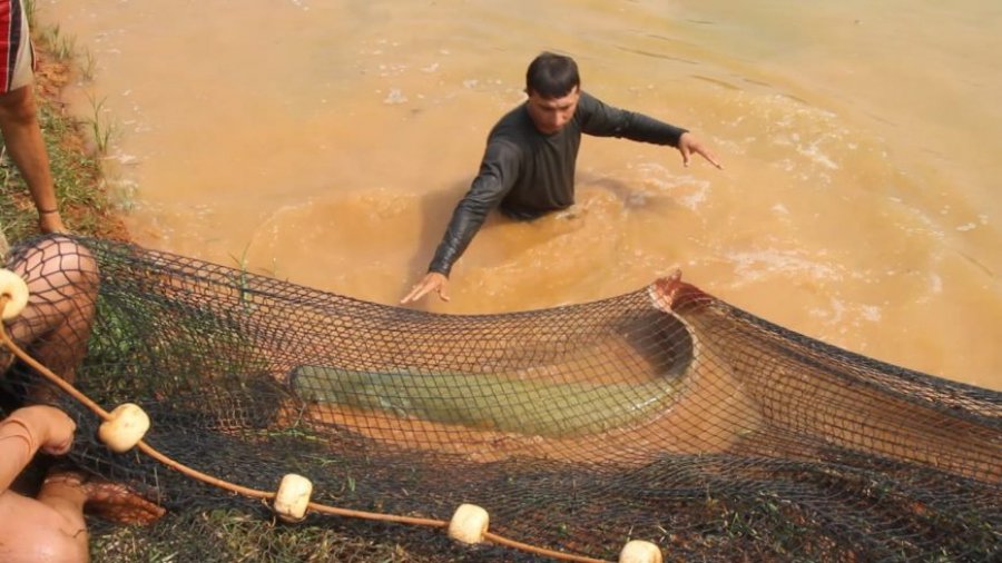 Colônias de Pescadores estão isentas da licença ambiental para rios, mas devem cumprir manejo em lagos