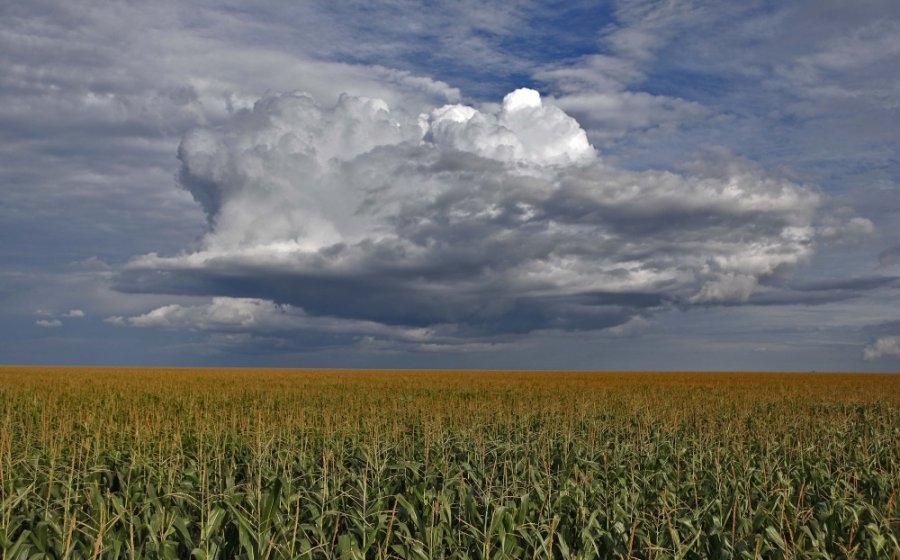 Clima será o melhor dos últimos três anos para agricultura na safra 2016/17