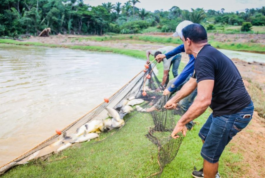 Sedam alerta sobre fim do período do defeso em Rondônia