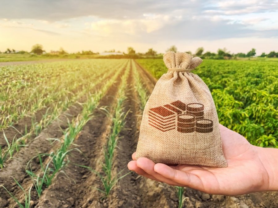 Valor da Produção Agropecuária de 2020 soma mais de R$ 871 bi e é o maior dos últimos 32 anos