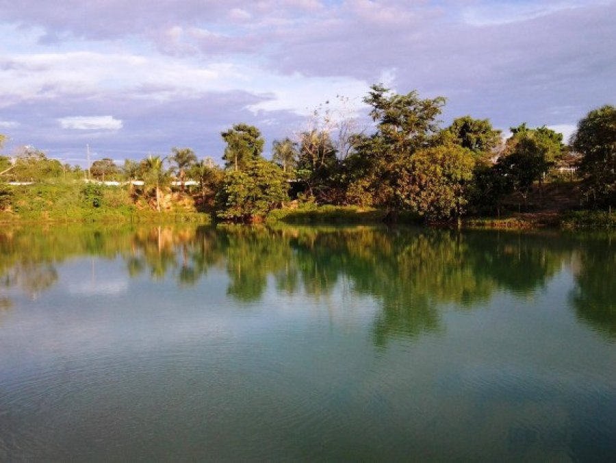 Para aderir ao Programa de Regularização Ambiental, produtor tem até o final de 2020 para fazer o Cadastro Ambiental Rural