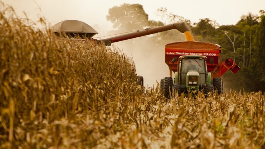 Valor Bruto da Produção Agropecuária de Rondônia deve ser quase 13% maior em 2021