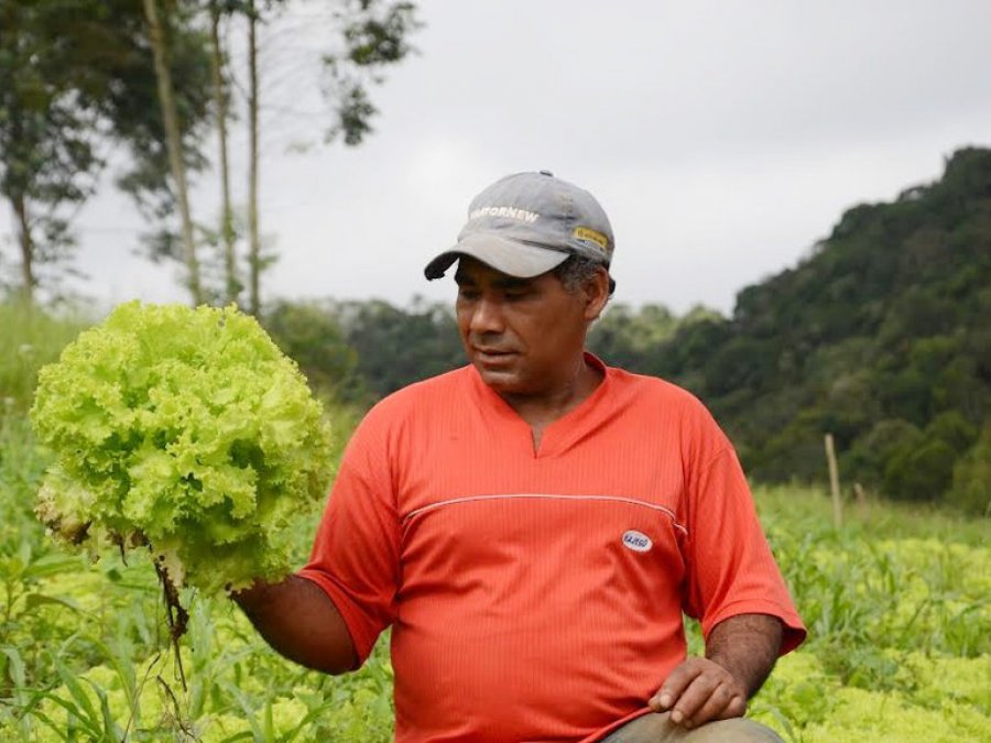 Incra prorroga prazos de vencimento de débitos