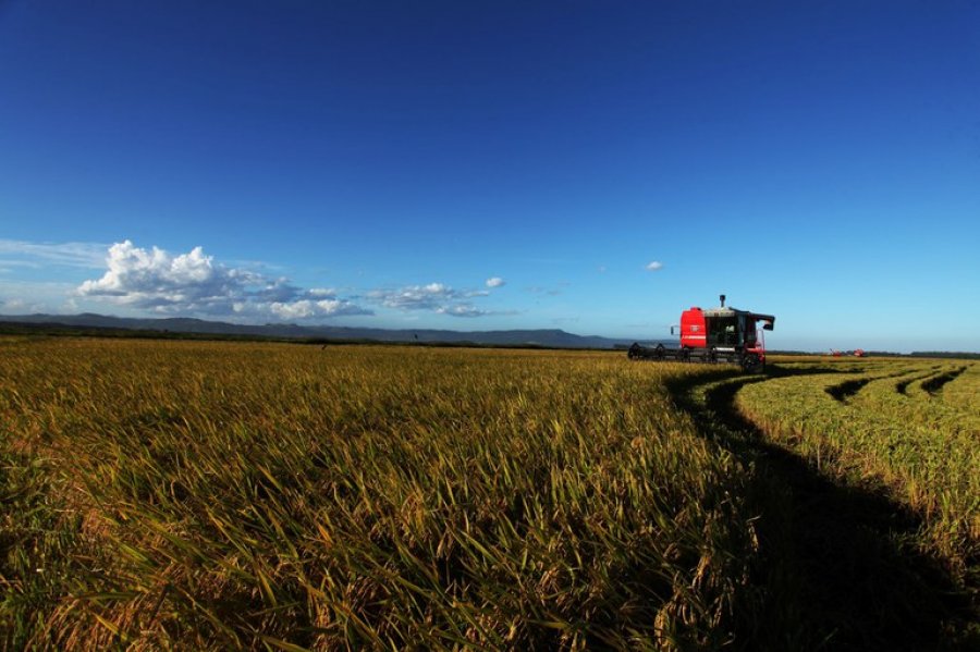 Valor Bruto da Produção Agropecuária em 2023 é estimado em R$ 1,179 trilhão