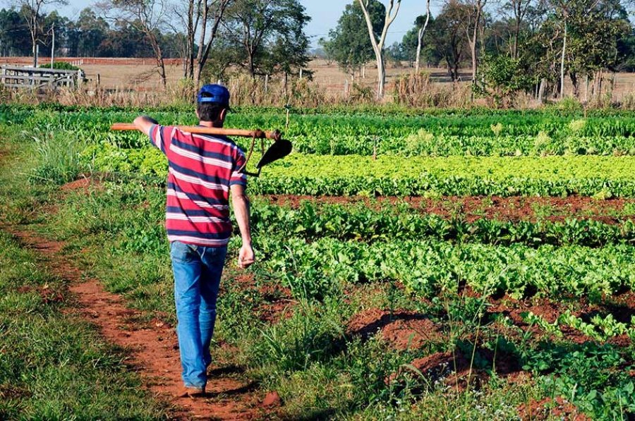 Renegociação de dívidas de produtores rurais é primeiro item da pauta do Plenário após eleição