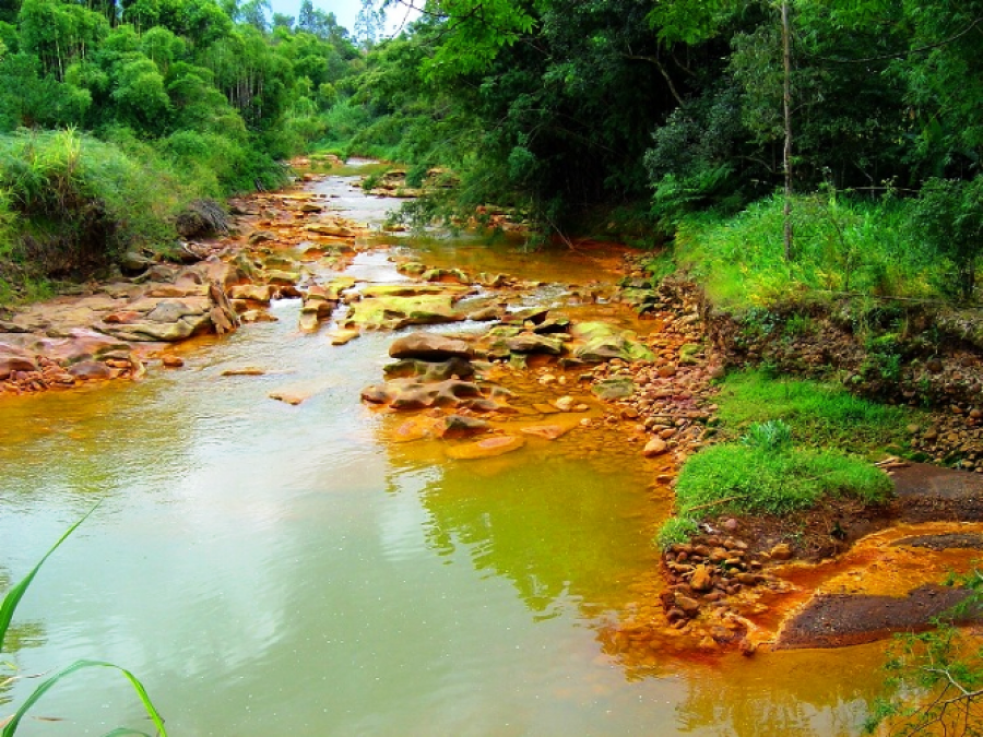 Em Rondônia, ministro do Meio Ambiente defende alternativa econômica como arma contra degradação ambiental