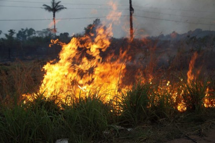 Portaria suspende por 30 dias uso do fogo controlado para limpeza de áreas em Rondônia