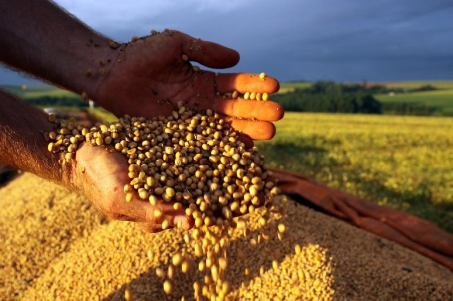 Conab prevê novo recorde para safra brasileira de grãos com 246 milhões de toneladas