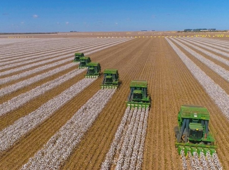 Agricultura de precisão é mais rentável e reduz a necessidade do uso de insumos