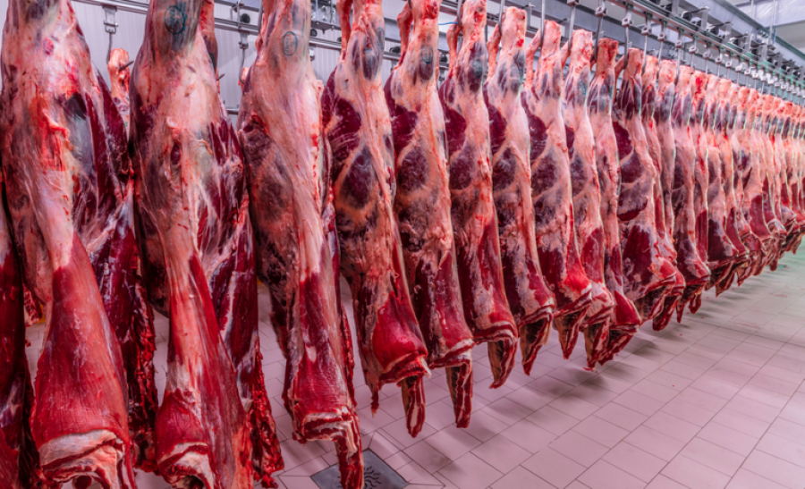 Exportações de carne bovina crescem em março e registram melhor resultado do ano