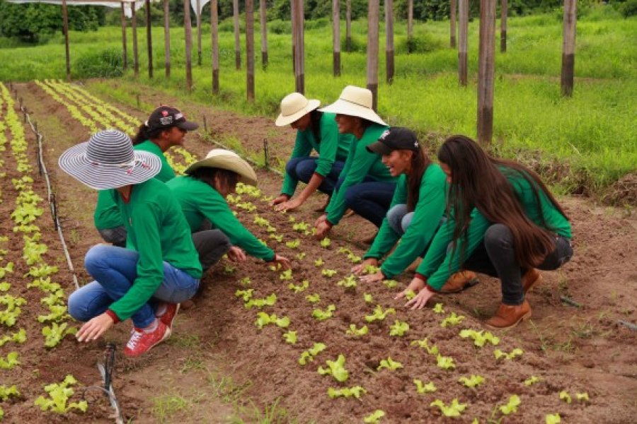 Centec Abaitará abre inscrições para o ano letivo de 2021 nesta segunda-feira, 16