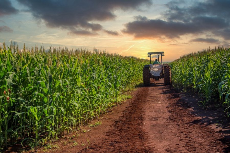 Governo adota medidas para desburocratizar o acesso ao crédito rural