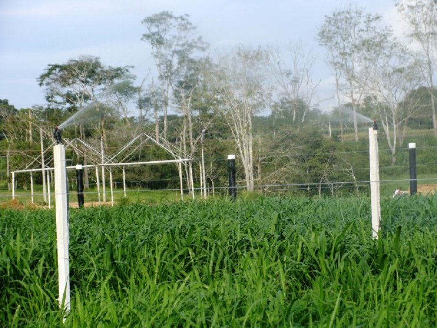 Rondônia Rural Show Internacional vai oportunizar conhecimento para visitantes e expositores