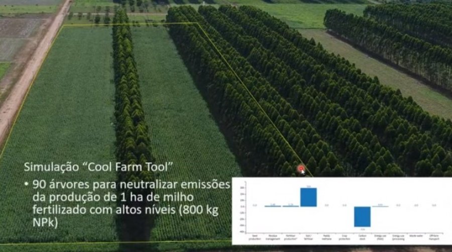 Benefícios do ILPF em propriedades leiteiras vão além do ganho na produção