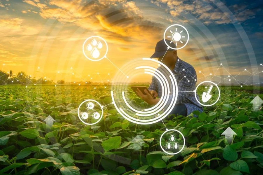 Universo TOTVS tem trilhas de conteúdos para Agro com inovação em IA e case da Syngenta