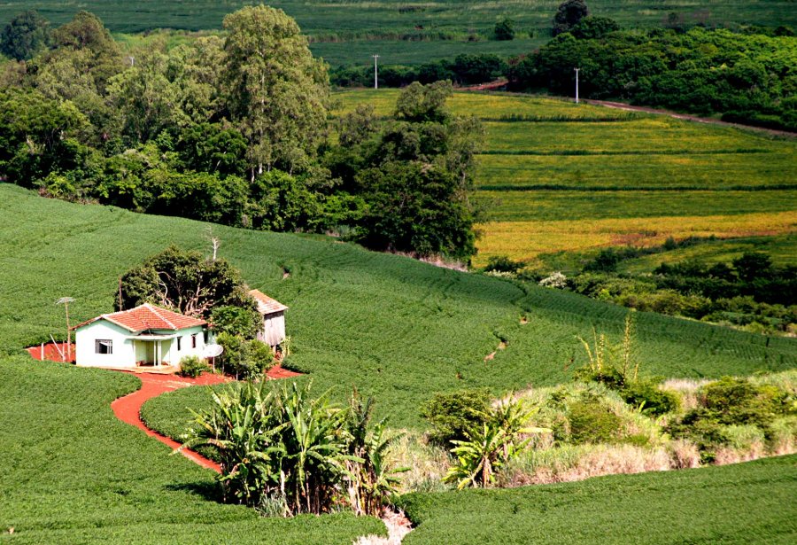 Receita recebe mais de 5 milhões de declarações de propriedade rural