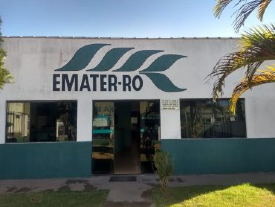 Emater Rondônia retoma atendimento nos escritórios regionais com foco na segurança de produtores e servidores