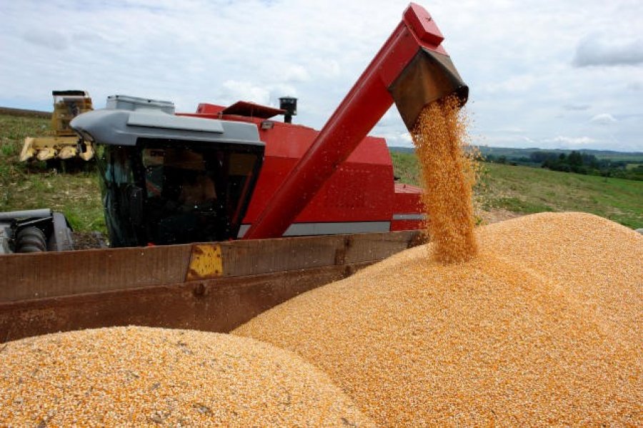 Artigo - Desempenho da agricultura brasileira durante o primeiro ano da Covid-19