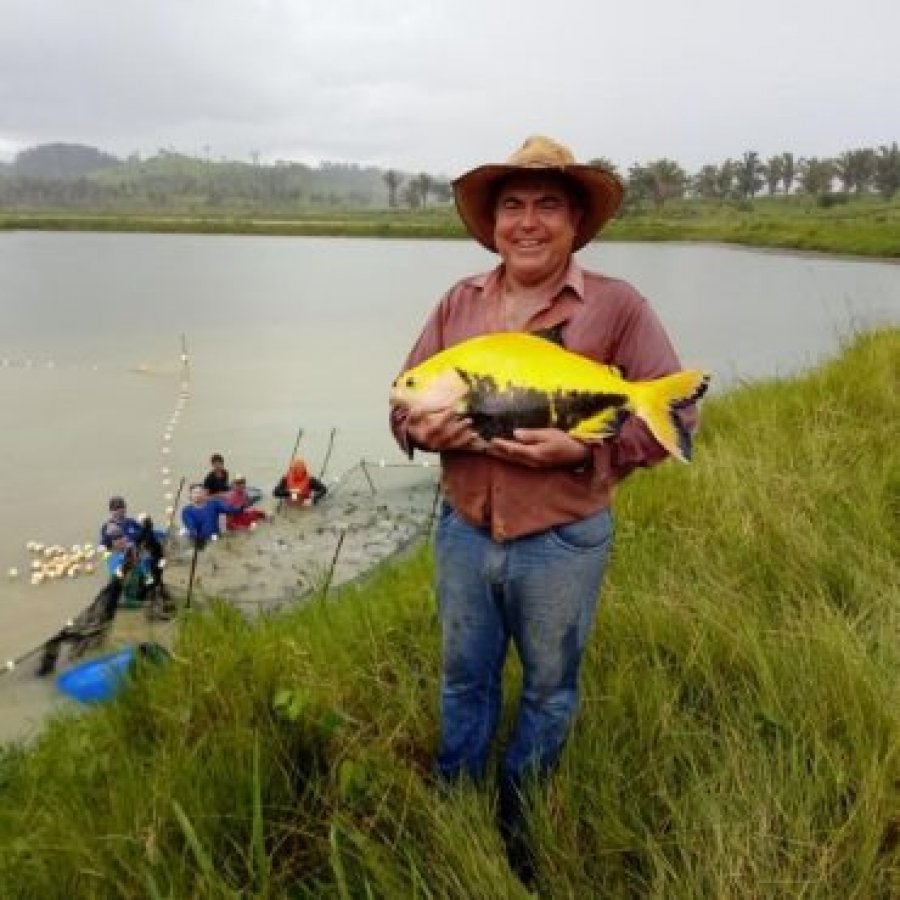 Tambaqui Dourado Amazônico é destaque na 9ª Rondônia Rural Show Internacional