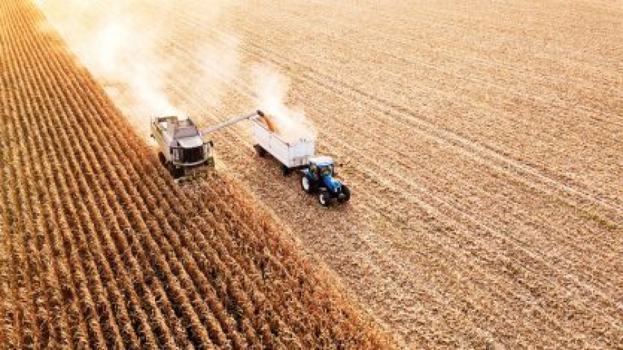 PIB do agro cresce 8,36% em 2021; participação no PIB brasileiro chega a 27,4%